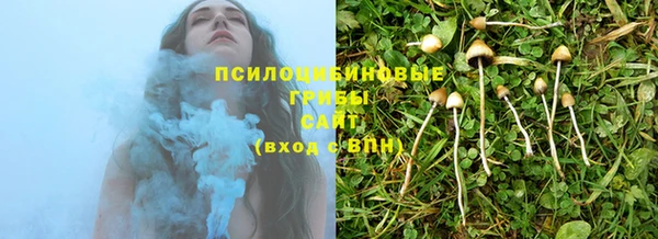спиды Абинск