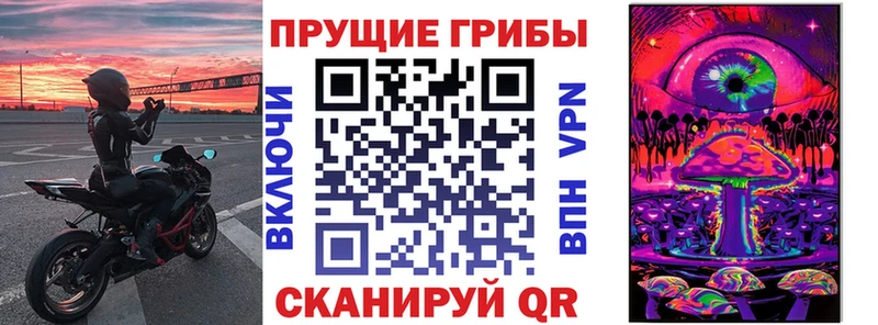 Псилоцибиновые грибы Psilocybe Калачинск